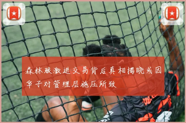 森林狼激进交易背后真相揭晓或因华子对管理层施压所致