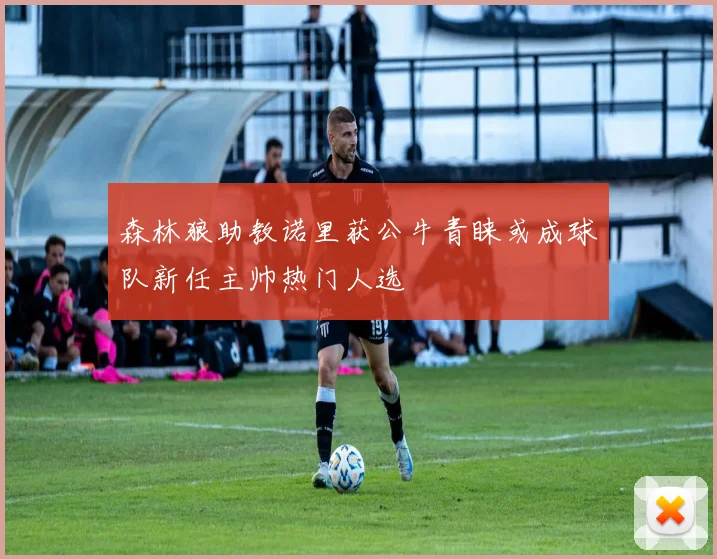 森林狼助教诺里获公牛青睐或成球队新任主帅热门人选