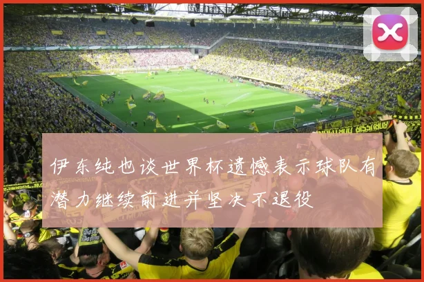 伊东纯也谈世界杯遗憾表示球队有潜力继续前进并坚决不退役